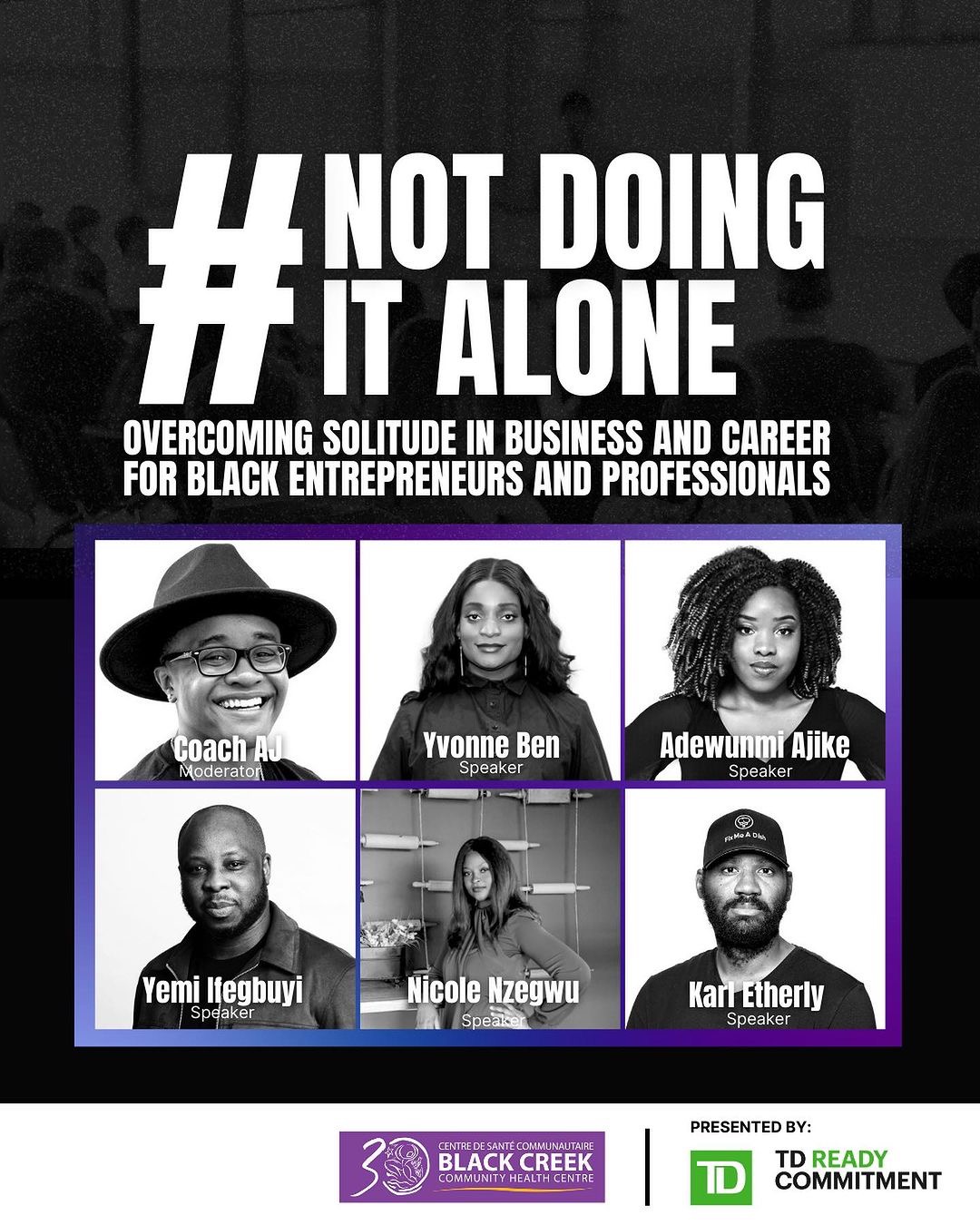 Not Doing It Alone panel speaker
